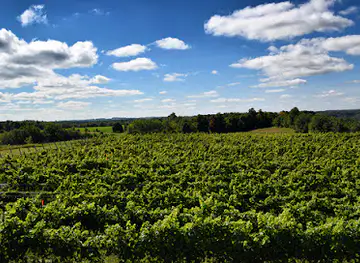 Adamo Estate Winery