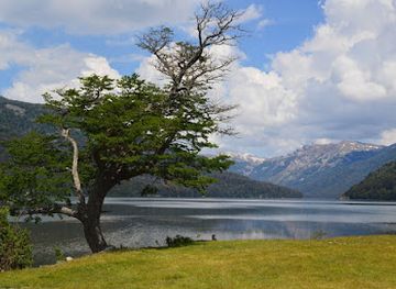 argentina/patagonia/attraction/el-bosque-tallado