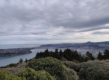 new-zealand/otago/attraction/jubilee-park