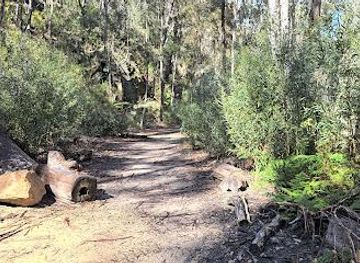 australia/blue-mountains-national-park/attraction/glow-worm-tunnel-track