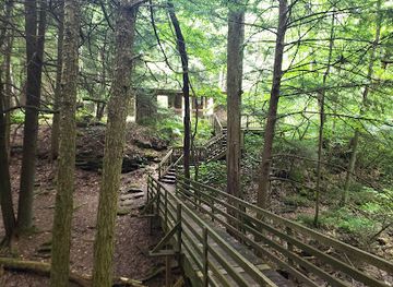 pennsylvania/allegheny-national-forest/attraction/todd-nature-reserve