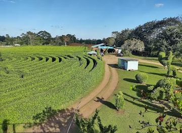costa-rica/la-fortuna/attraction/laberinto-katira