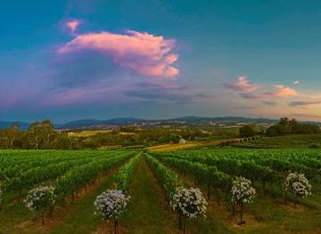 australia/yarra-valley/attraction/elmswood-estate