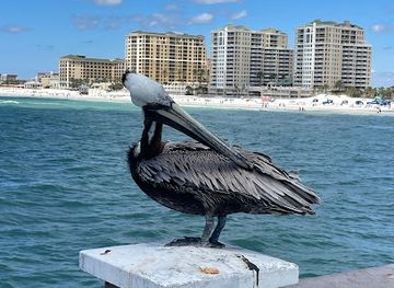 florida/tampa-bay-area/attraction/clearwater-beach-clearwater