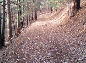 new-york/north-country/attraction/rome-sand-plains-unique-area