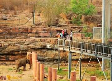 mali/bamako/badalabougou/attraction/zoo-national-du-mali