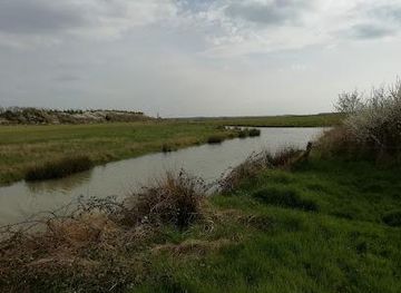 france/la-rochelle/attraction/la-cabane-de-moins