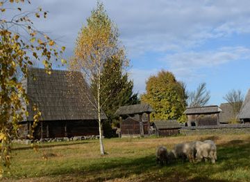 romania/crisana/attraction/maramuresean-village-museum
