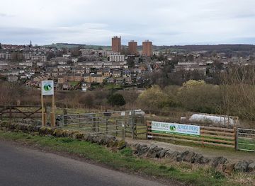 united-kingdom/sheffield/attraction/holly-hagg-community-farm-alpaca-treks