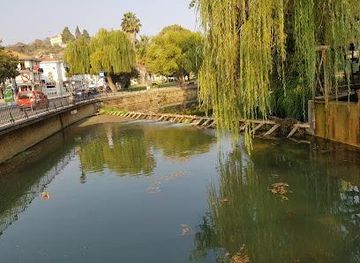 portugal/viseu/attraction/praia-do-ribatejo