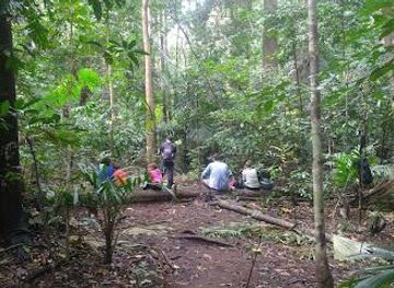 indonesia/manado/attraction/tangkoko-national-park