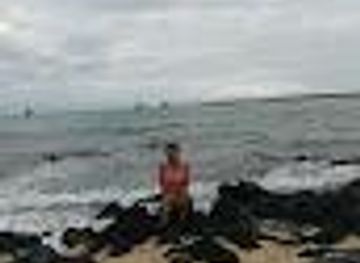 ecuador/puerto-ayora/attraction/laboratorio-de-invertebrados-terrestres