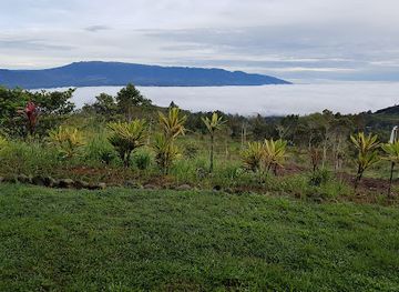 papua-new-guinea/western-province/attraction/mount-hagen-market