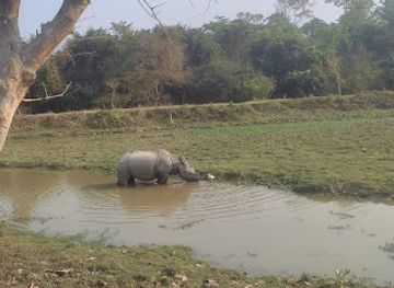 india/kaziranga-national-park/attraction/kaziranga-national-park-safari-co