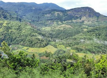 sri-lanka/knuckles-mountain-range/attraction/garadi-ella-view-point