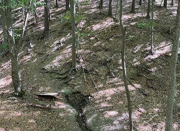 hungary/matra-mountains/attraction/gabi-forras