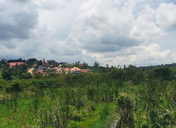 rwanda/kigali-province/attraction/kuri-12