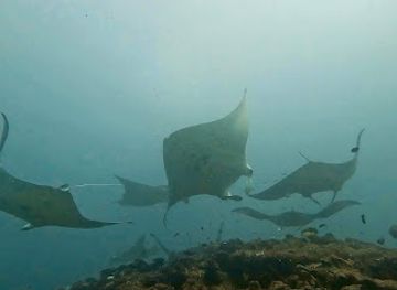 maldives/huraa/attraction/black-spot