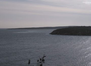 puerto-rico/guanica-dry-forest-reserve/attraction/bosque-deciduo-deciduo