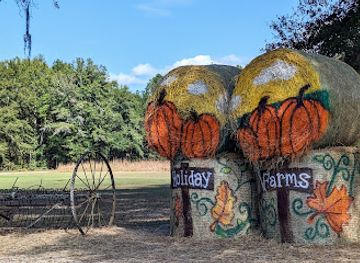 south-carolina/lowcountry/attraction/holiday-farms