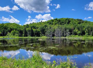 canada/laurentides/attraction/alfred-kelly-nature-reserve