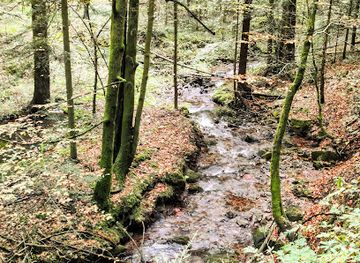 slovenia/skofja-loka/attraction/potok-zala