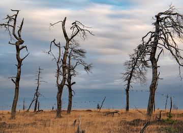 belgium/hautes-fagnes/attraction/noir-flohay
