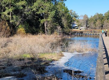south-carolina/beaufort/attraction/cypress-wetlands