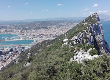 gibraltar/alameda-botanic-gardens/attraction/hayne-s-cave-battery