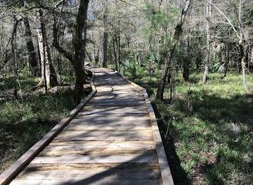 florida/ocala/attraction/big-cypress-boardwalk-trail-goethe-state-forest