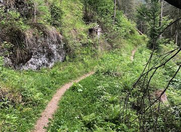 romania/harghita/attraction/cetatea-bufnitelor-bagolyvar