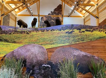 south-dakota/mount-rushmore/attraction/bison-center