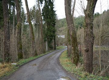 luxembourg/upper-sure-natural-park/attraction/legendenweg-st-pirmin