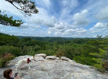 kentucky/big-south-fork-national-river-and-recreation-area/attraction/south-arch-twin-arches