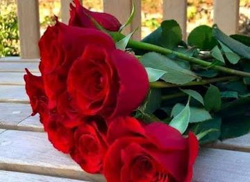 south-africa/polokwane/attraction/polokwane-art-museum