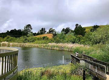 california/san-francisco-peninsula/attraction/russian-ridge-open-space-preserve