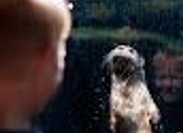 virginia/petersburg/attraction/the-robins-nature-center-at-maymont