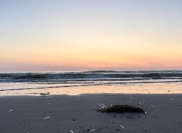 netherlands/amsterdam/attraction/zandvoort-beach
