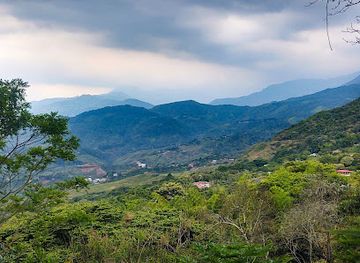 colombia/cauca-valley/attraction/mariposario-andoke