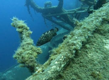cyprus/kokkinochoria-red-soil-villages/attraction/zenobia-wreck-diving-site