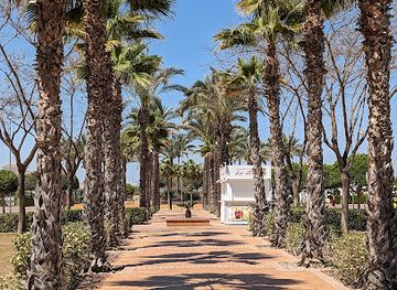 spain/murcia-region/attraction/summer-market-july-august