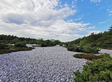 germany/rugen-island/attraction/feuersteinfelder