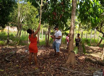 jamaica/cornwall-county/attraction/brooks-farm-attractions-lodging-and-campground