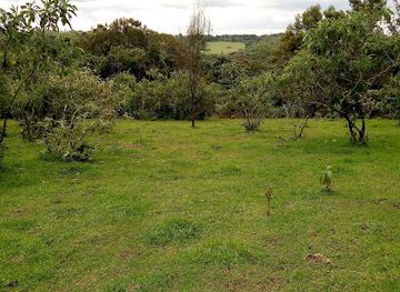 kenya/central-highlands/attraction/south-western-mau-national-reserve