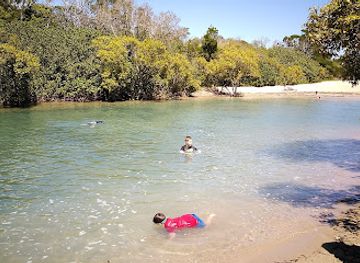 australia/fraser-island/attraction/tooan-tooan-creek
