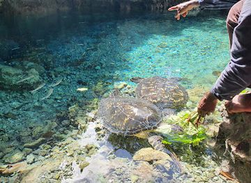 solomon-islands/lata/attraction/aplau