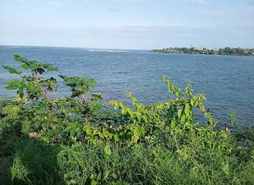 kenya/diani-beach/attraction/mama-ngina-dr