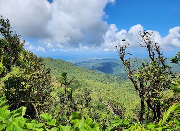 puerto-rico/caribbean-national-forest/attraction/torre-mount-britton-trailhead