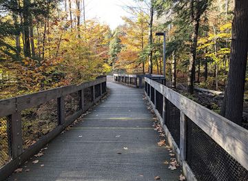 michigan/northern-michigan/attraction/hartwick-pines-state-park