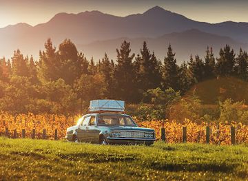 new-zealand/blenheim/attraction/dog-point-vineyard